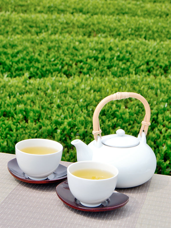 嬉野茶について - お茶の山輝園｜嬉野茶(うれしの茶)｜佐賀 嬉野